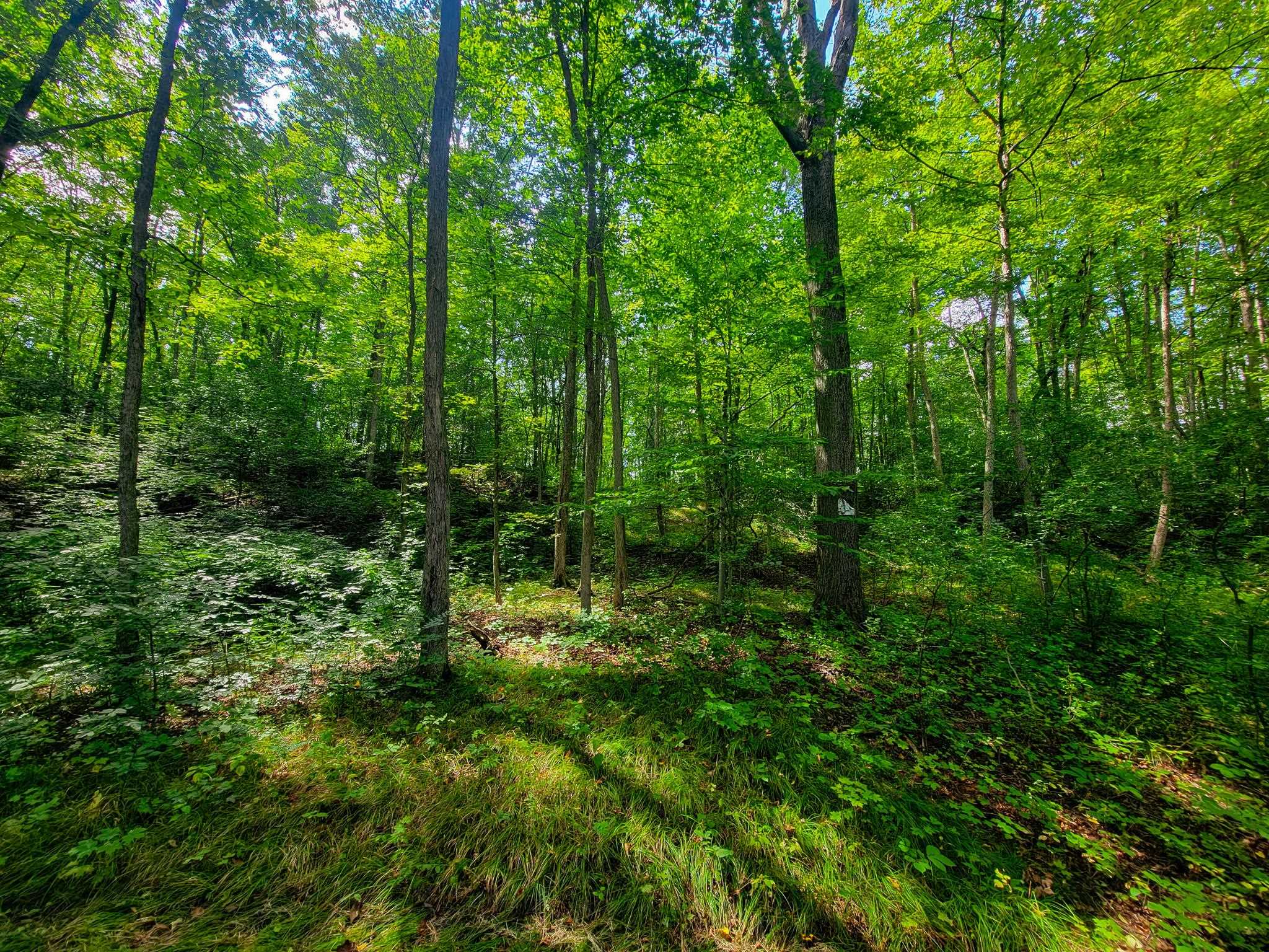 4547 Highway 74 Shoreham, VT 05770 - Photo 28 of 40