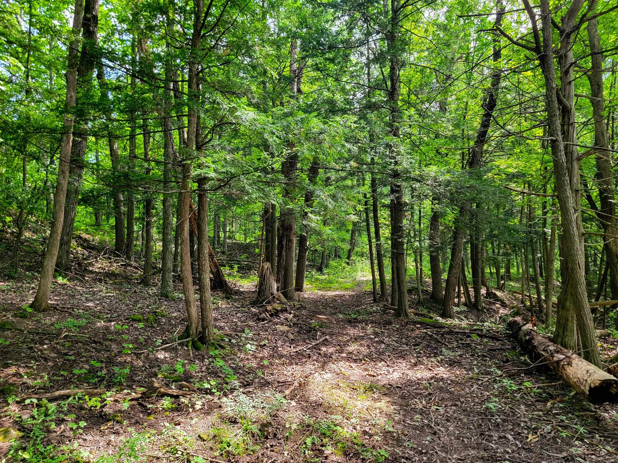 4547 Highway 74 Shoreham, VT 05770 - Photo 29 of 40