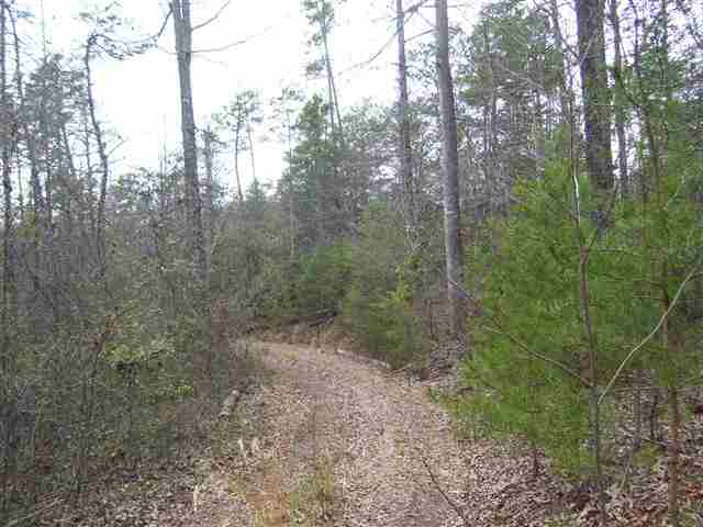 300 Old Blacksmith Road Six Mile, SC 29682 - Photo 17 of 18