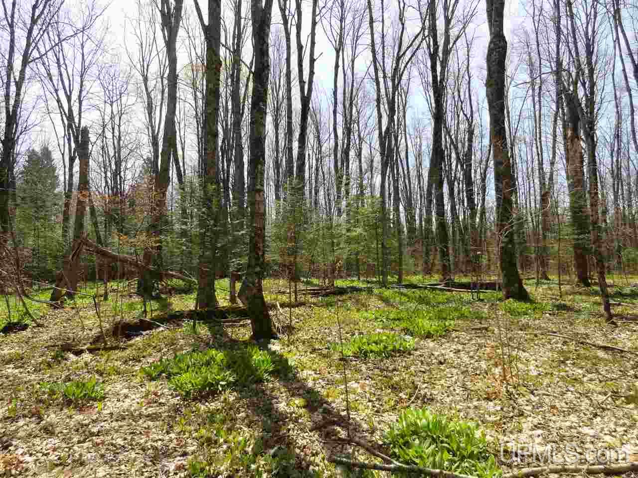 Johnson Road Skandia, MI 49885 - Photo 24 of 29