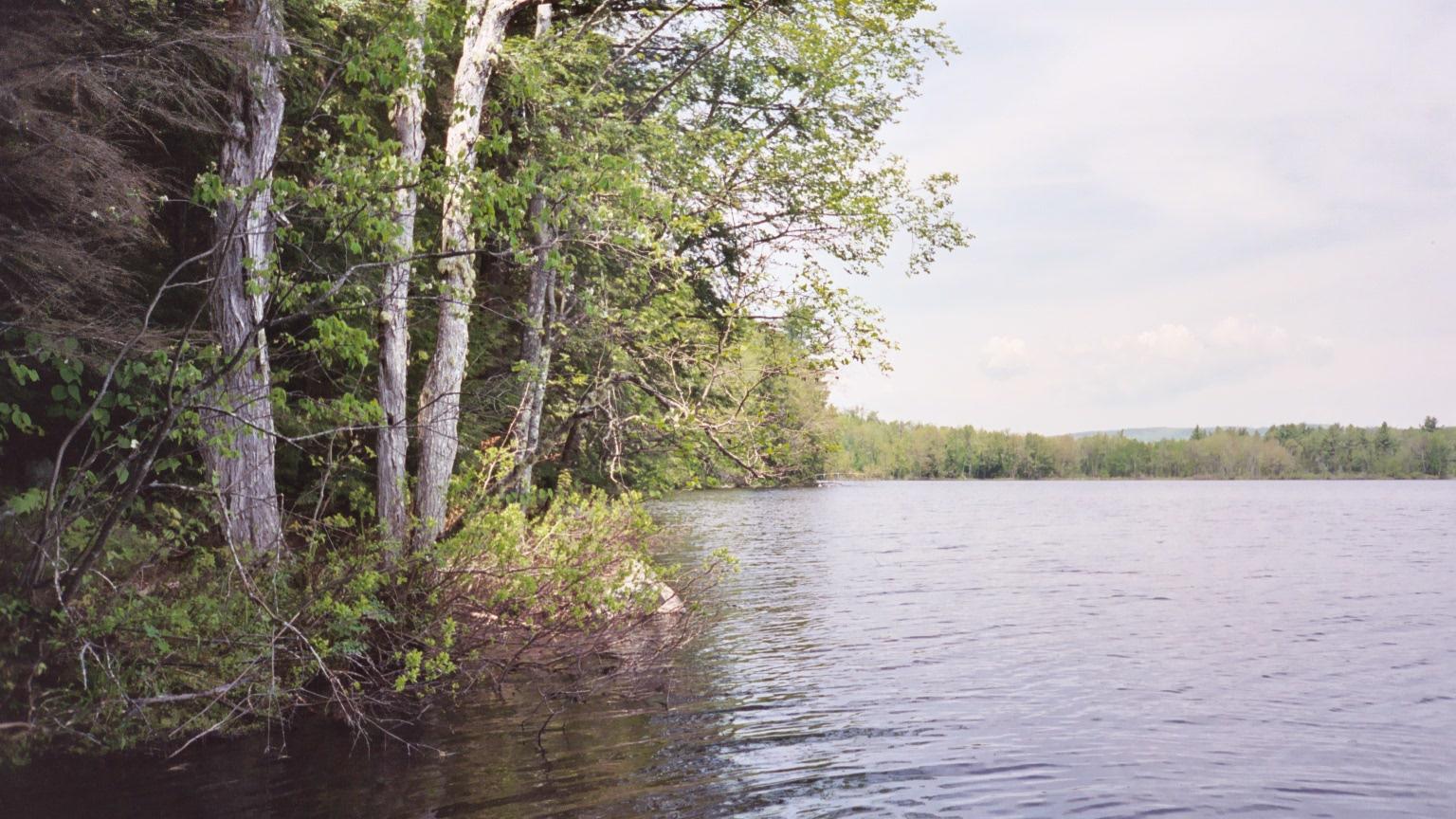 0 Crystal Spring Lane Jay, ME 04239 - Photo 19 of 19 shoreline4