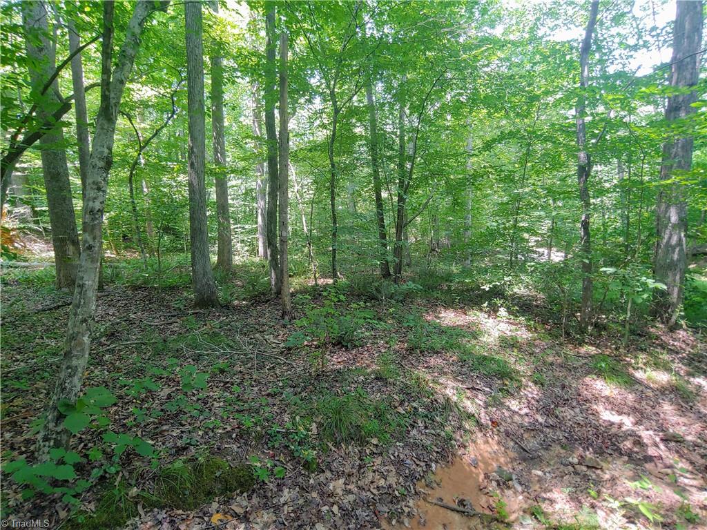 480 Martin Farm Road Madison, NC 27025 - Photo 11 of 50 Gallery Image 11