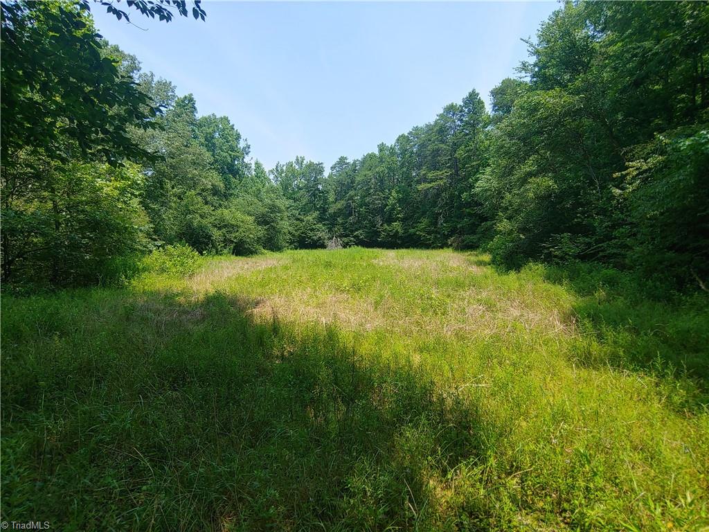 480 Martin Farm Road Madison, NC 27025 - Photo 12 of 50 Gallery Image 12
