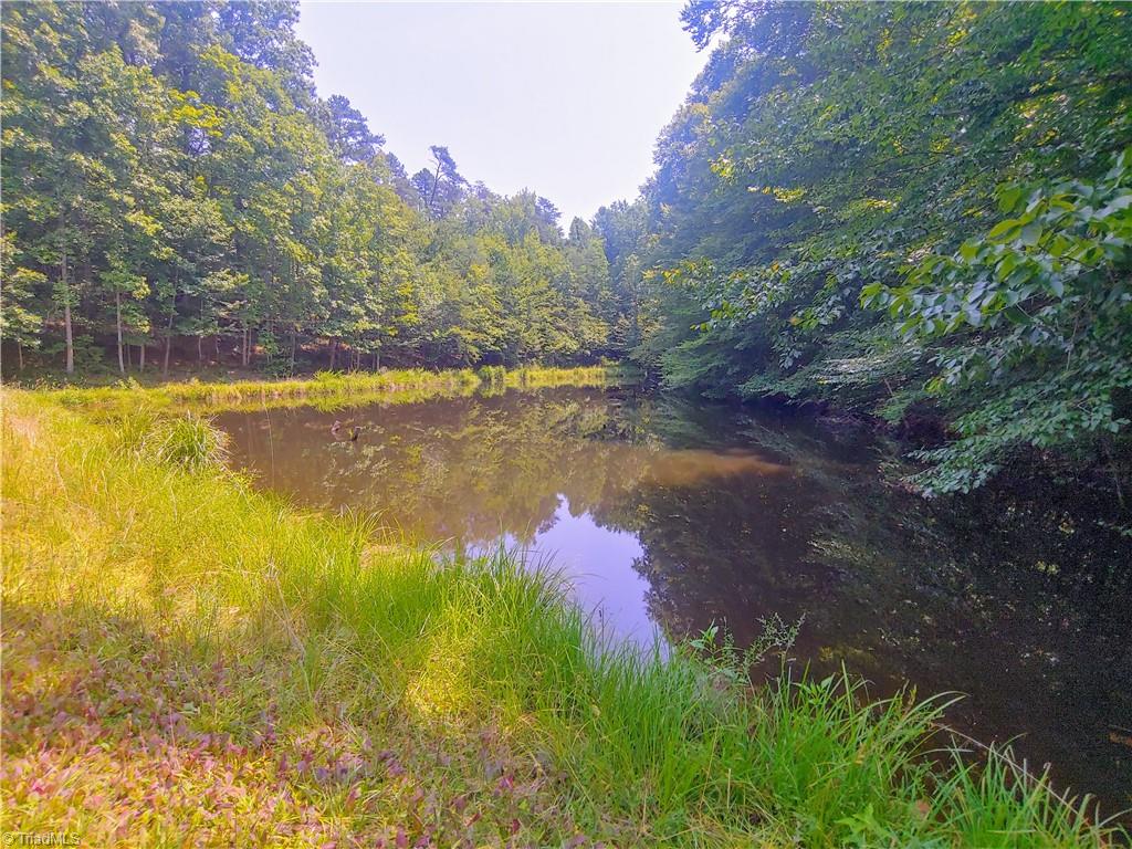 480 Martin Farm Road Madison, NC 27025 - Photo 14 of 50 Gallery Image 14