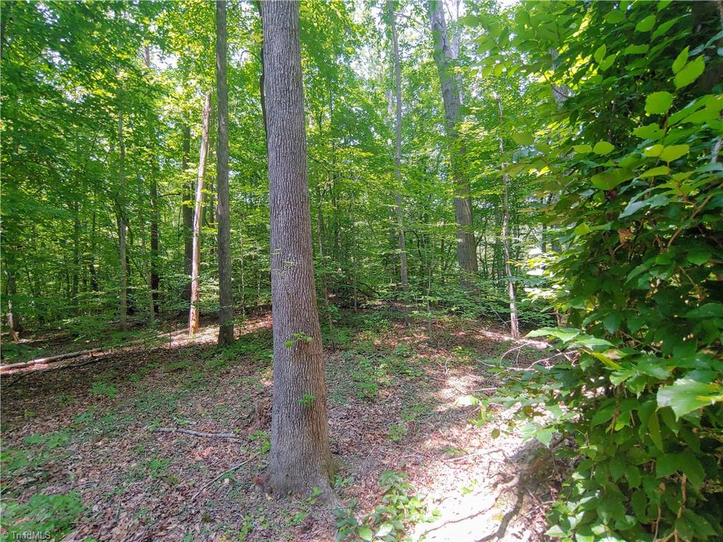 480 Martin Farm Road Madison, NC 27025 - Photo 9 of 50 Gallery Image 9