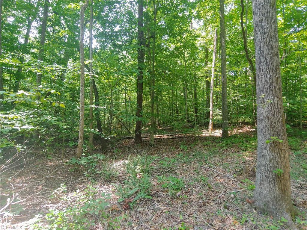 480 Martin Farm Road Madison, NC 27025 - Photo 10 of 50 Gallery Image 10