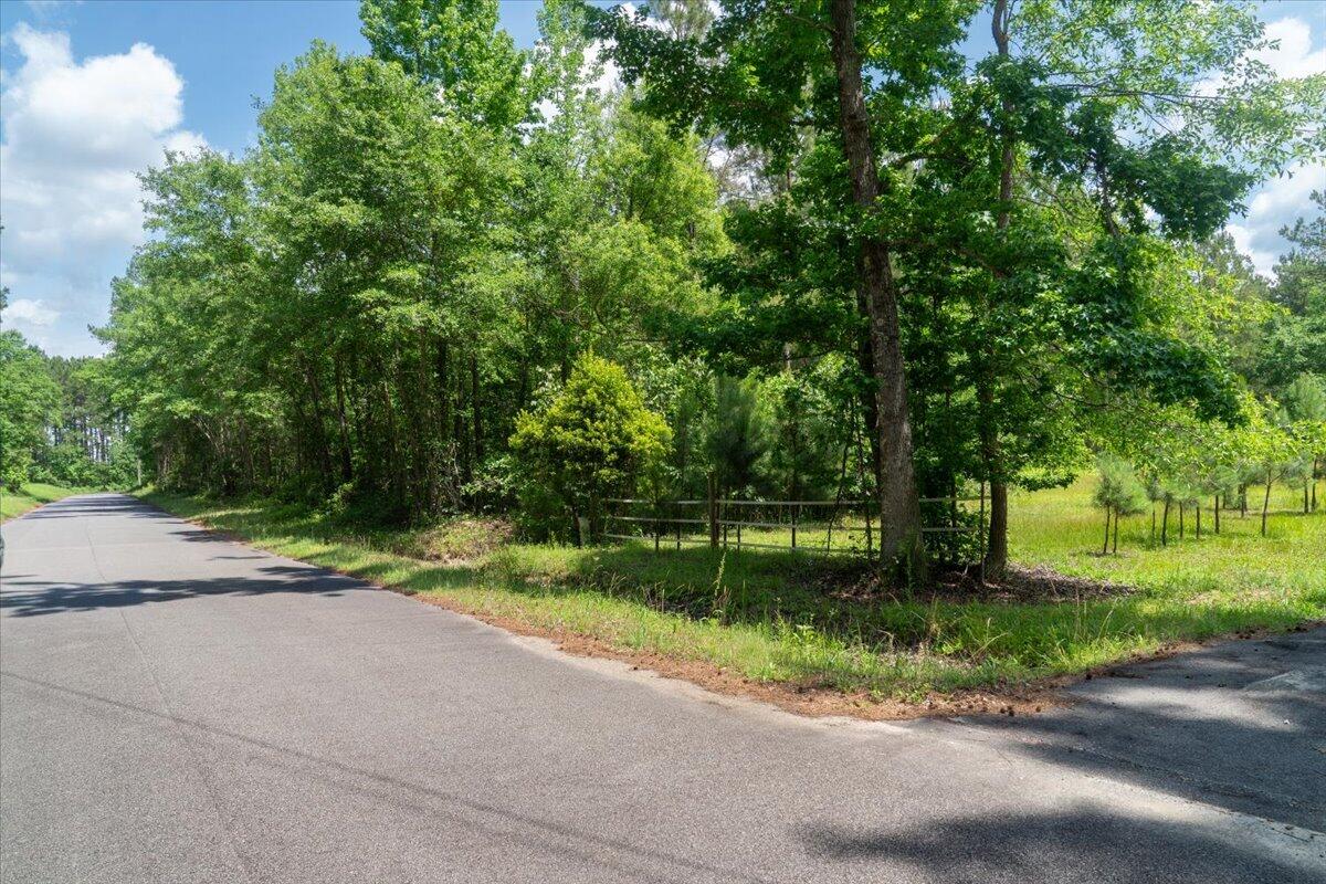 0 Deneaux Road Rowesville, SC 29133 - Photo 14 of 43 13-Deneaux-13