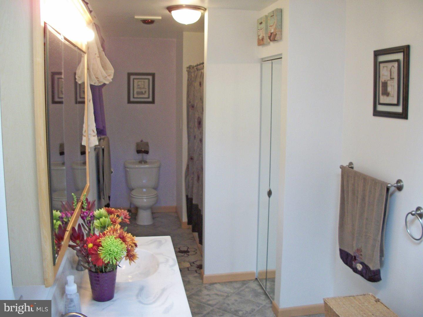 598 North Funk Road Boyertown, PA 19512 - Photo 13 of 25 Master Bathroom