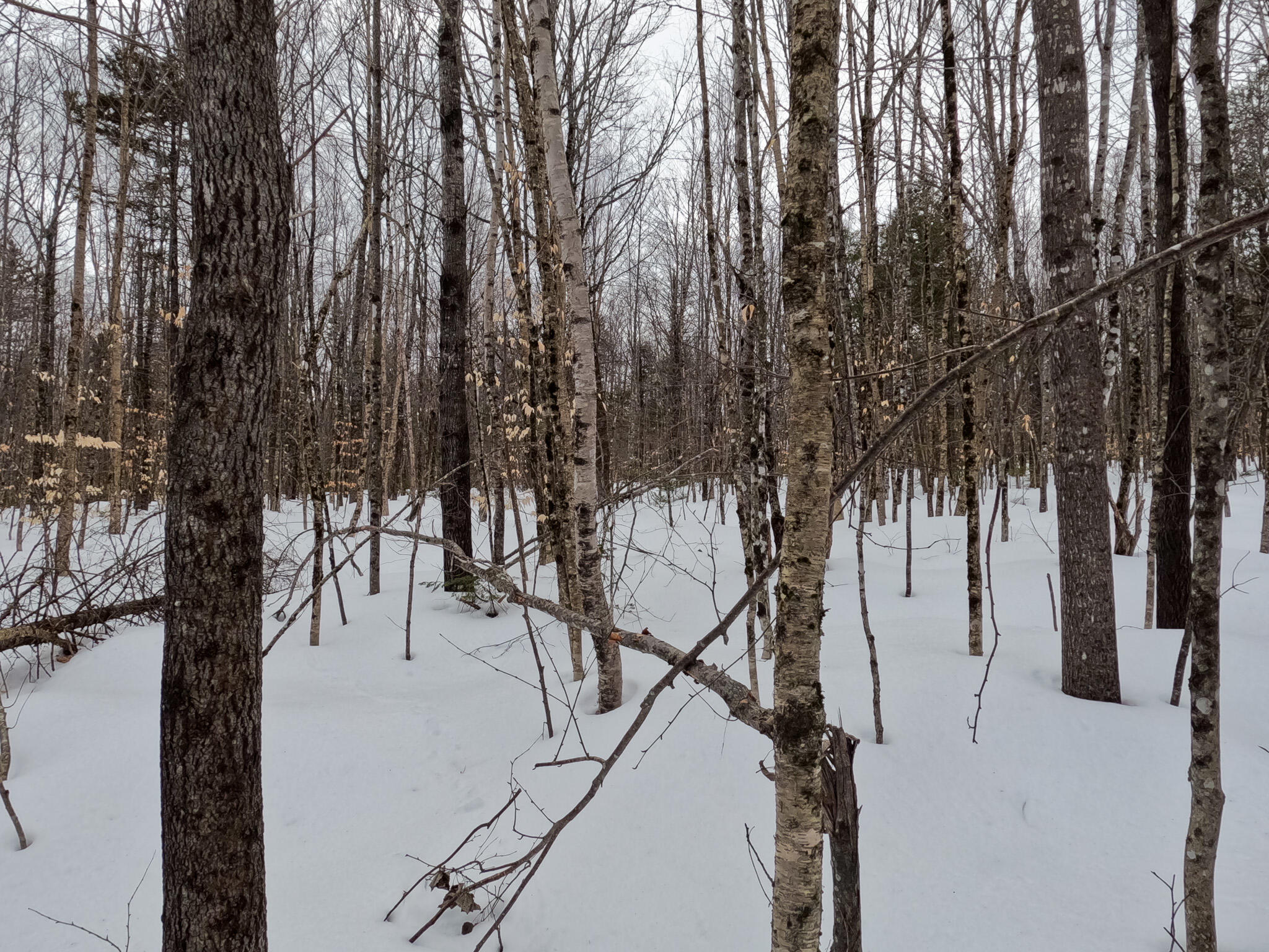M2-l27-20 Smith Road Brownville, ME 04414 - Photo 9 of 27 GOPR0672