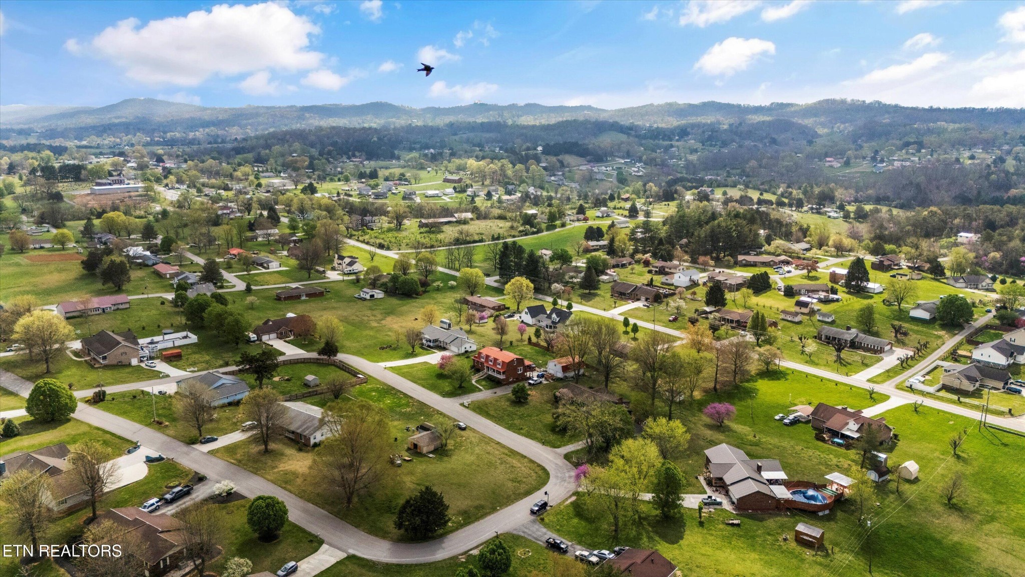 226 Thacker Drive La Follette, TN 37766 - Photo 46 of 51 an aerial view of residential houses with outdoor space and trees