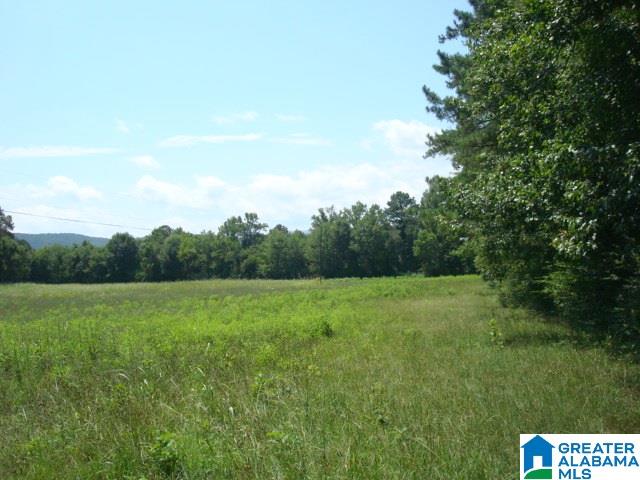0 Dabbs Road, Unit 19 & 20 Oxford, AL 36203 - Photo 5 of 33