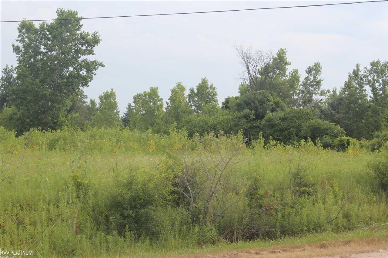 Nwc Nwc Ridge Canton, MI 48187 - Photo 28 of 28