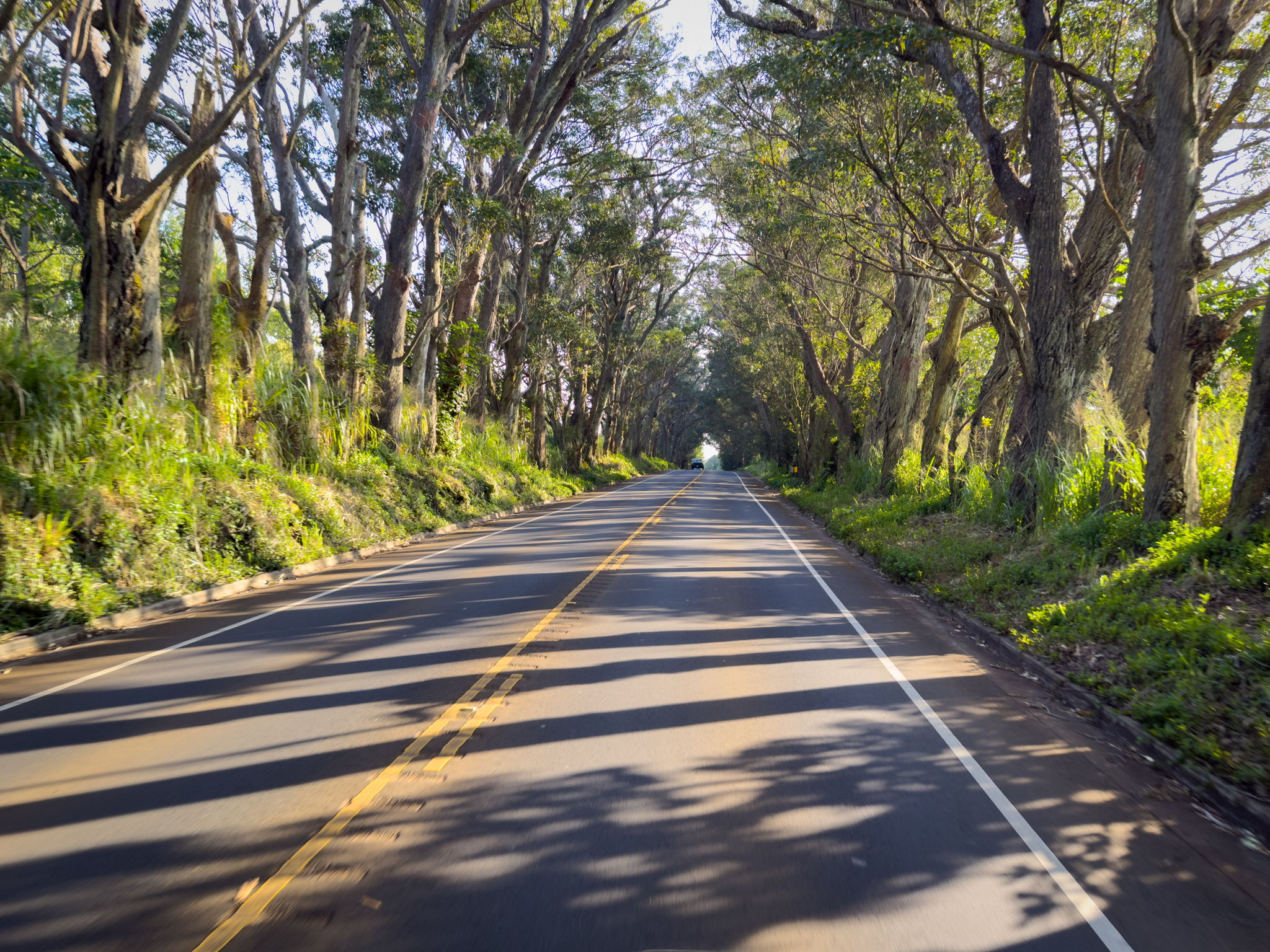 5407 Wailaau Road Koloa, HI 96756 - Photo 28 of 28