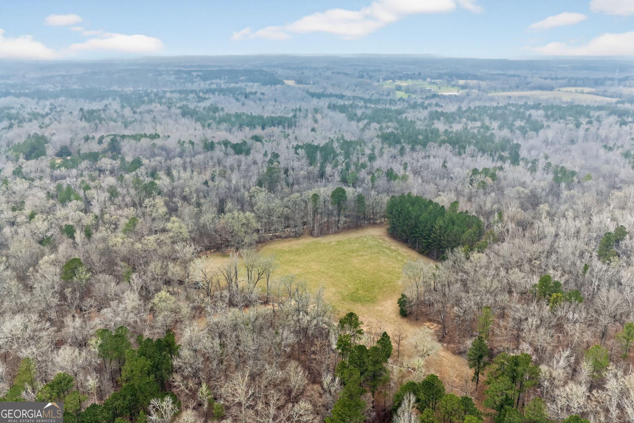 119 Hough Johnson Road Haddock, GA 31033 - Photo 1 of 1 Gallery Image 1