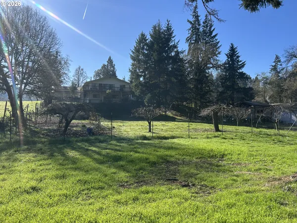a view of a yard with a tree