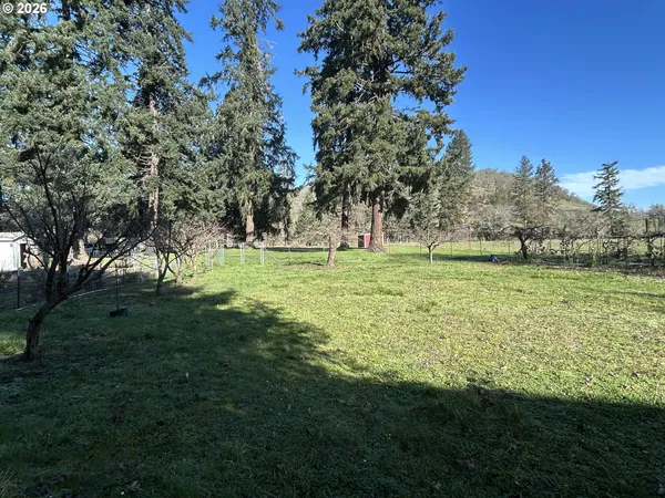 a large green field with lots of bushes