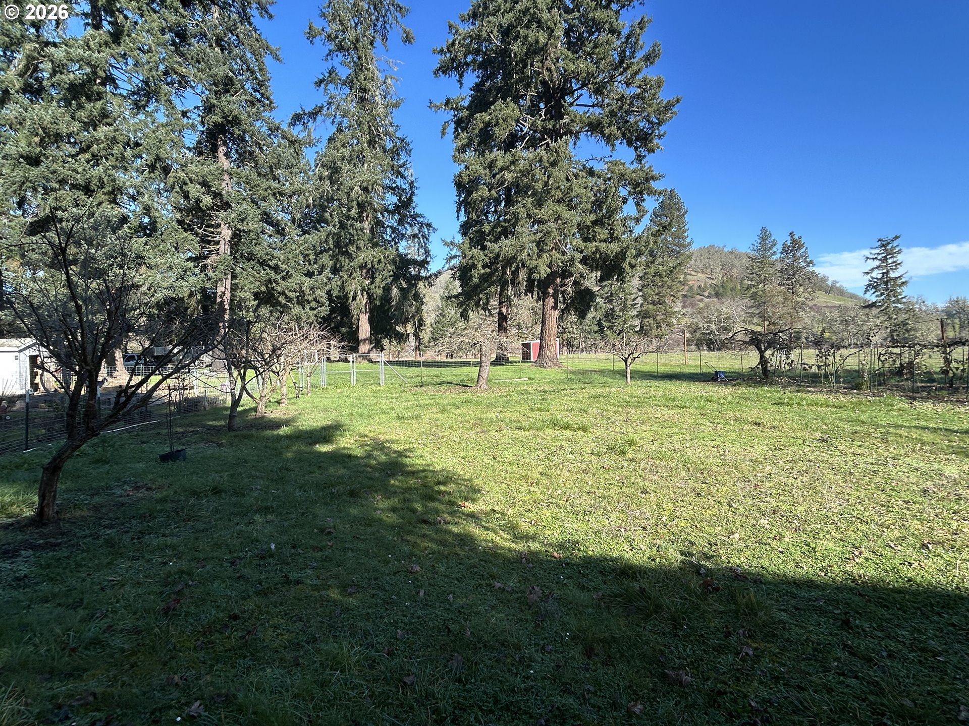 5383 Sunshine Road Roseburg, OR 97470 - Photo 41 of 47 a large green field with lots of bushes