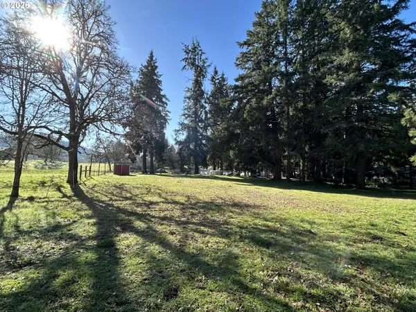 a view of yard with trees