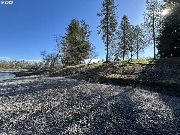 a view of dirt yard with a large tree