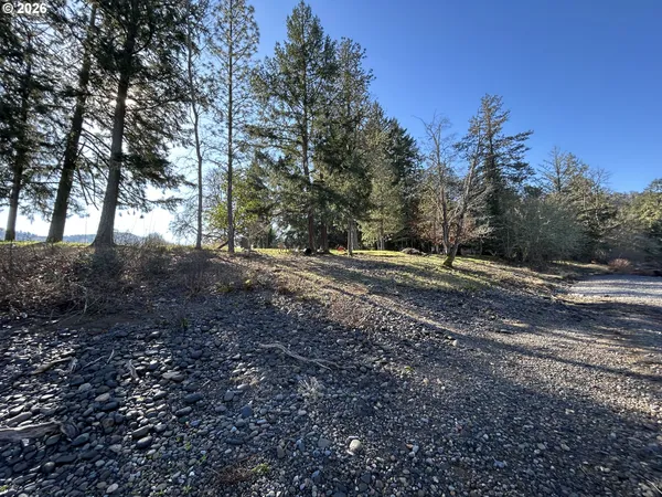 a view of dirt yard with a large tree