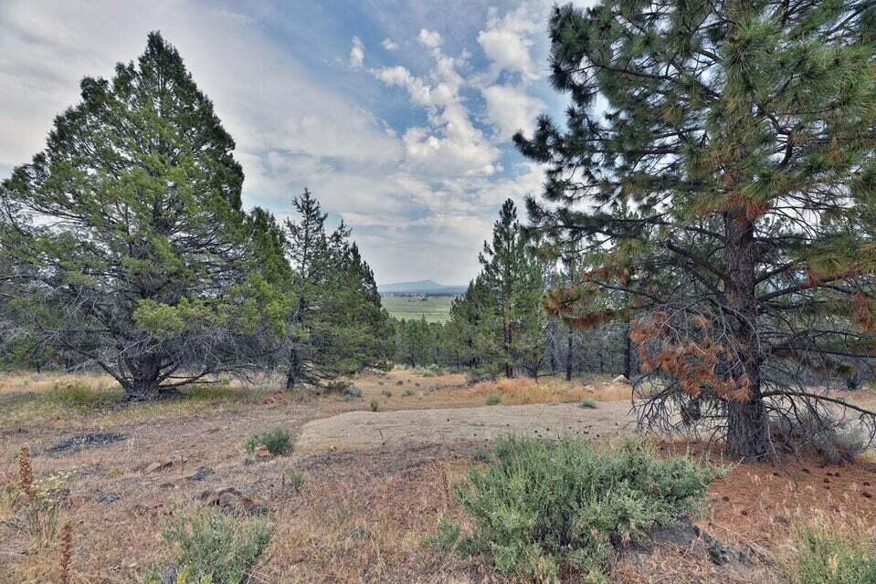 0 Kootenai Street Chiloquin, OR 97624 - Photo 3 of 12 a view of outdoor space with trees all around