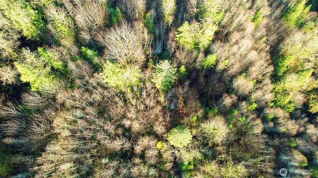 $300,000 | 0 Northeast 52nd Street, Carnation, WA 98014