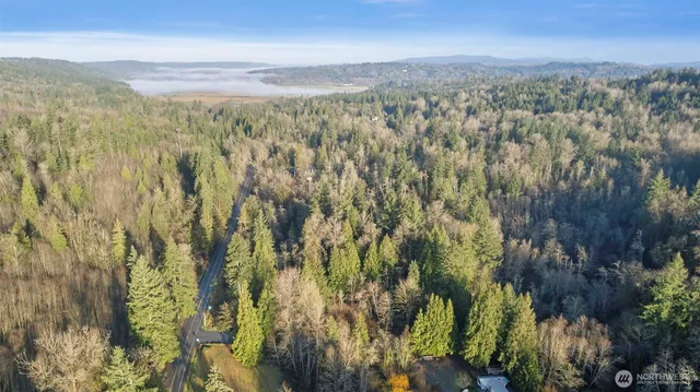 a view of a city with lush green forest
