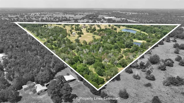 $2,950,000 | 7157 Farm To Market Road 1697, Carmine, TX 78932