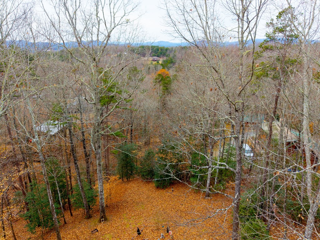 150 Cassady Lane Murphy, NC 28906 - Photo 40 of 42