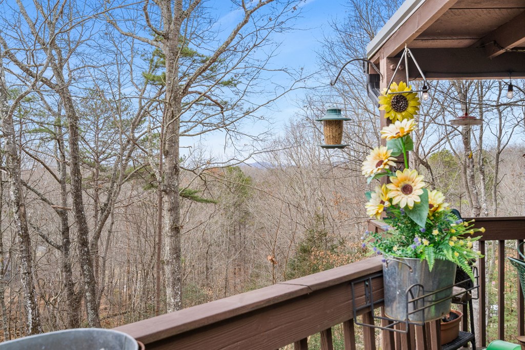 150 Cassady Lane Murphy, NC 28906 - Photo 8 of 42