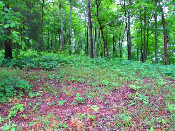$55,000 | Pinnacle Pointe Way, Sharps Chapel, TN 37866