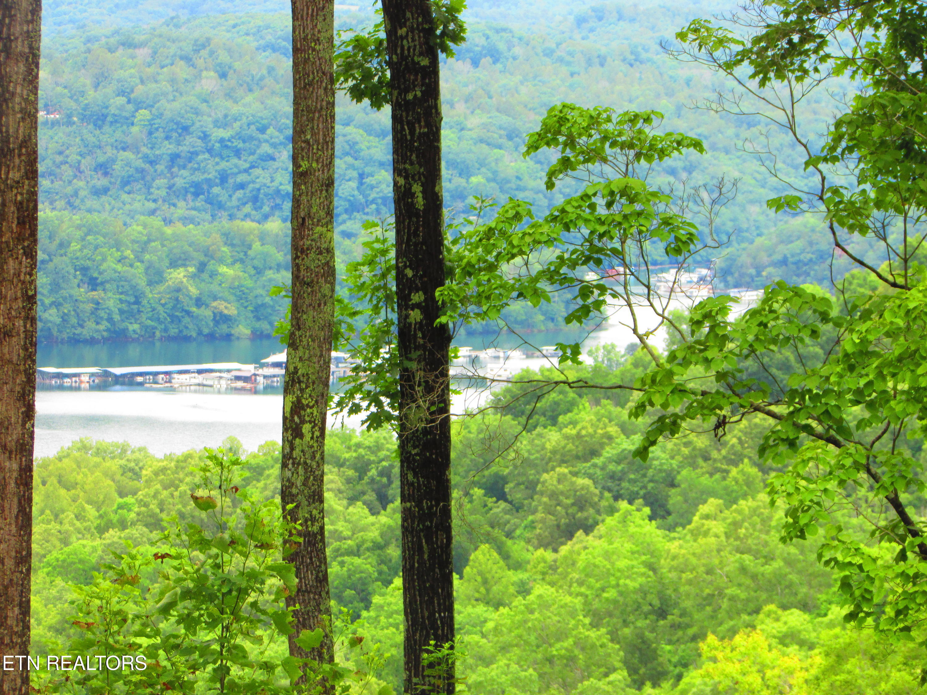 Pinnacle Pointe Way Sharps Chapel, TN 37866 - Photo 4 of 5 20180718204528909971000000-o