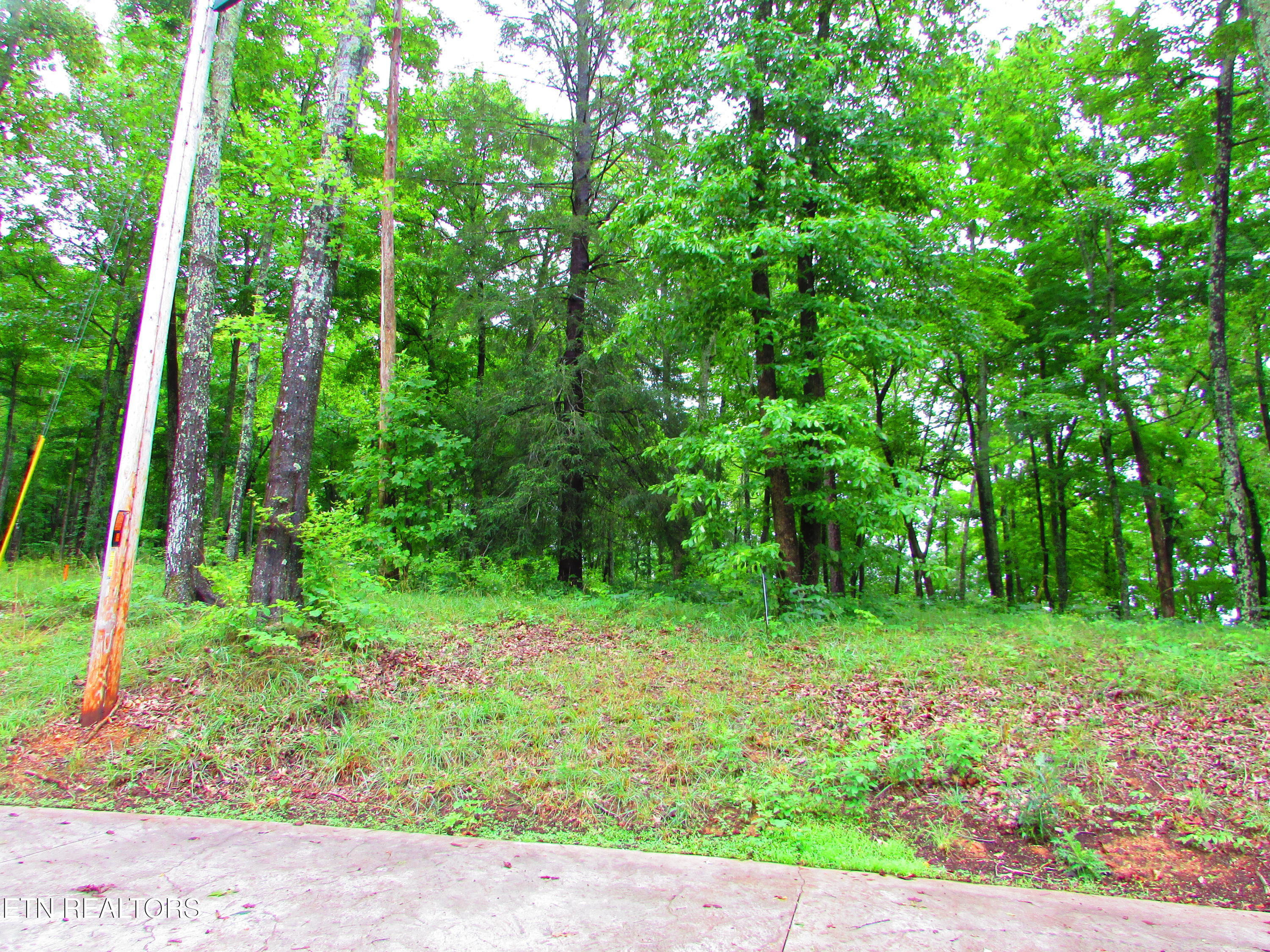 Pinnacle Pointe Way Sharps Chapel, TN 37866 - Photo 5 of 5 Pinnacle Pointe