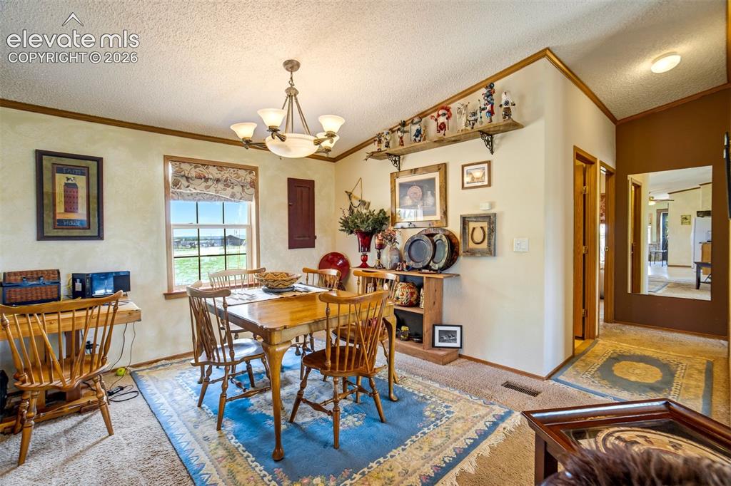 22120 McDaniels Road Calhan, CO 80808 - Photo 7 of 49