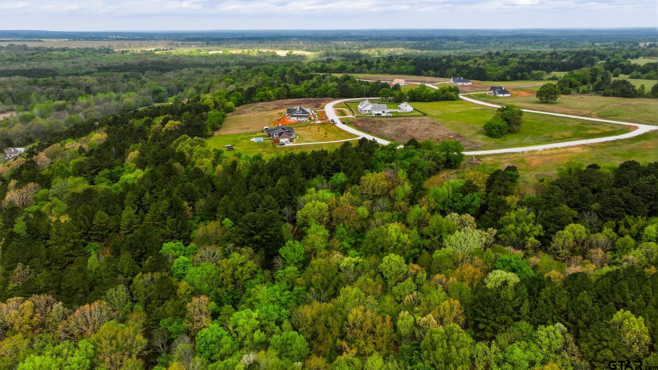 17127 Lux Mundi Ridge Winona, TX 75792 - Photo 12 of 12