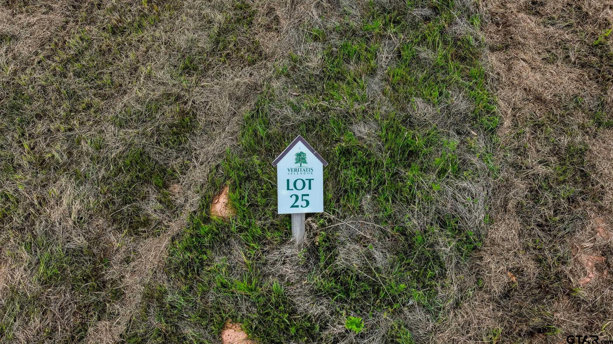 17127 Lux Mundi Ridge Winona, TX 75792 - Photo 3 of 12