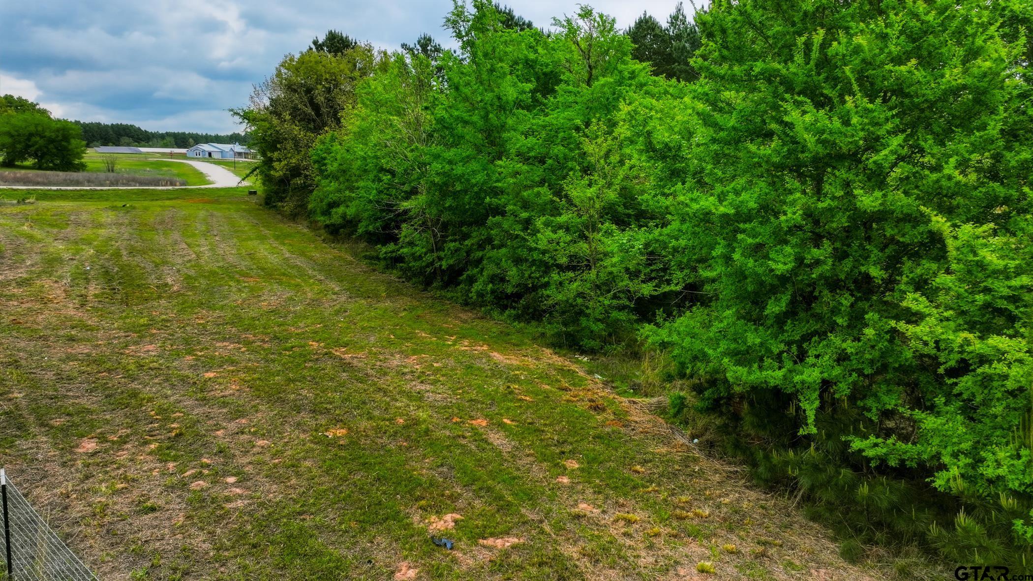 17127 Lux Mundi Ridge Winona, TX 75792 - Photo 7 of 12