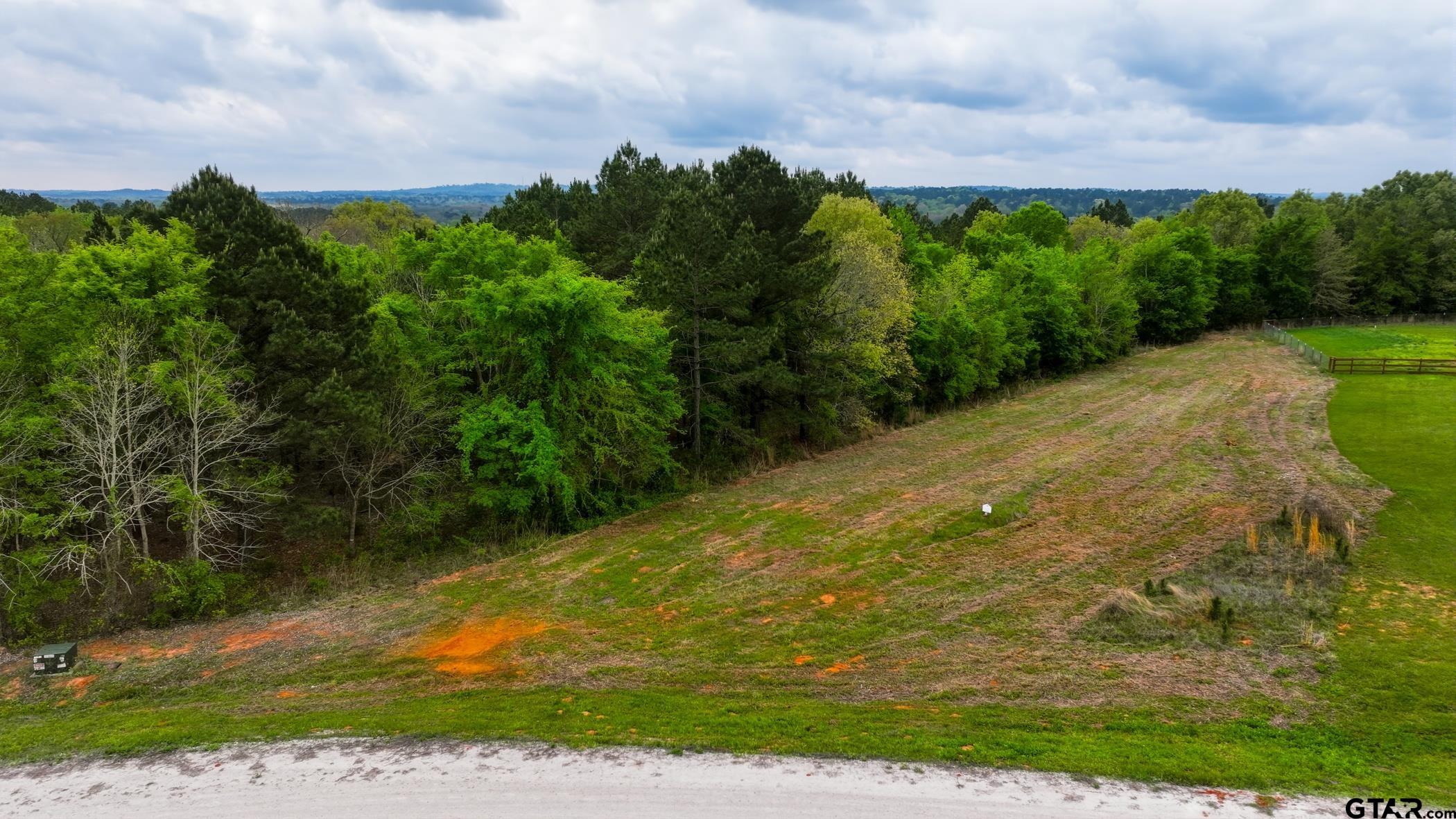 17127 Lux Mundi Ridge Winona, TX 75792 - Photo 8 of 12