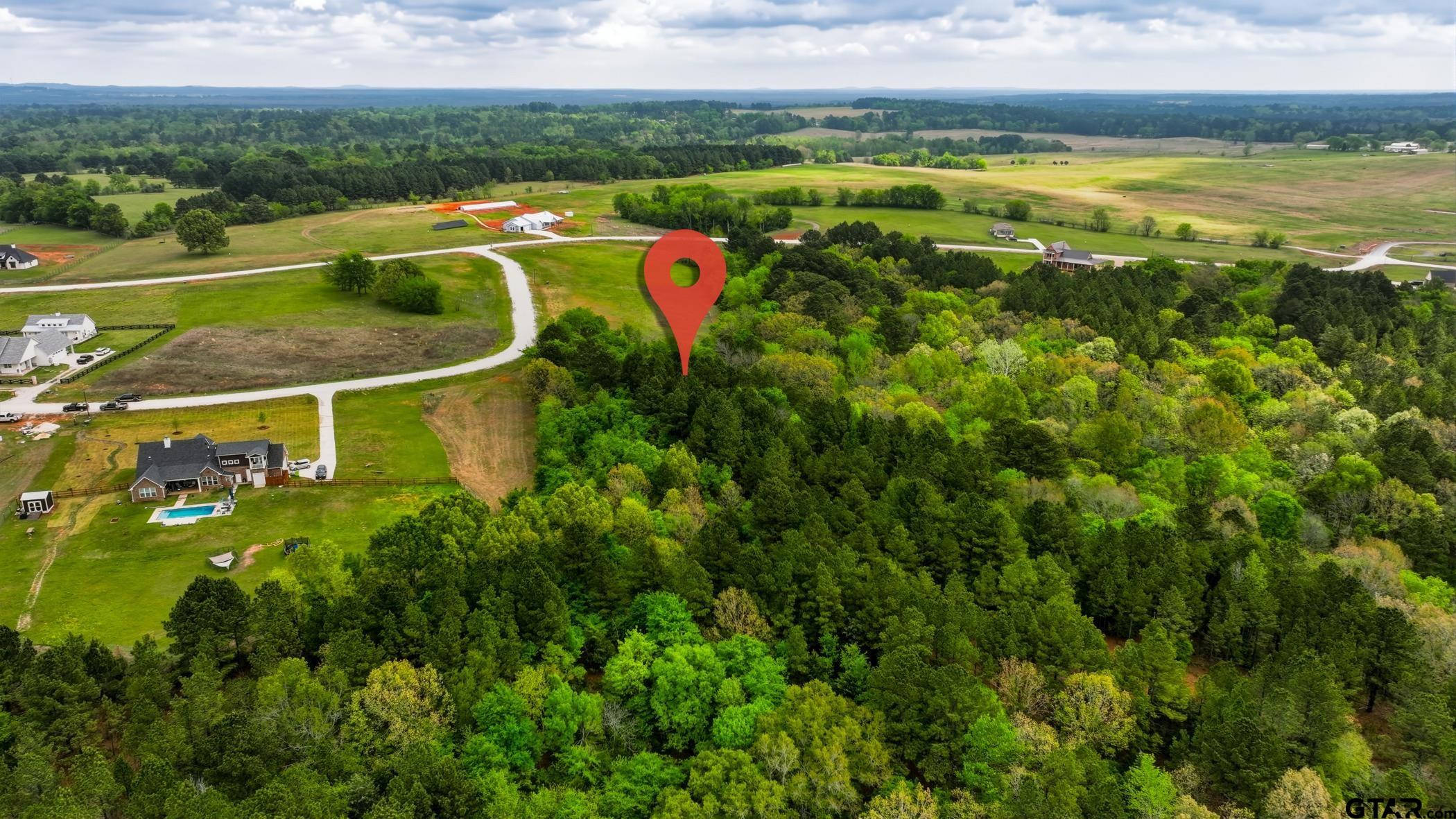 17127 Lux Mundi Ridge Winona, TX 75792 - Photo 9 of 12