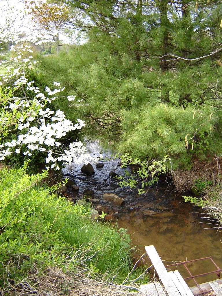 367 Conner Grove Road Southwest Willis, VA 24380 - Photo 8 of 22 a view of a lake with a tree
