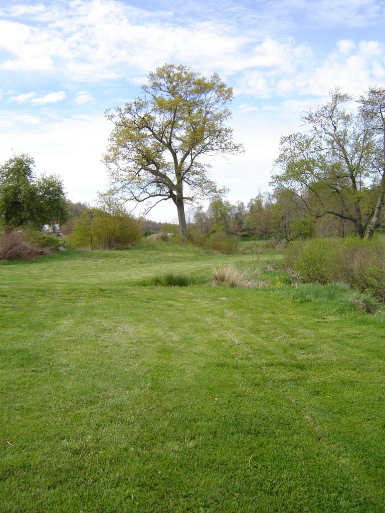 367 Conner Grove Road Southwest Willis, VA 24380 - Photo 10 of 22 a view of a field with an trees