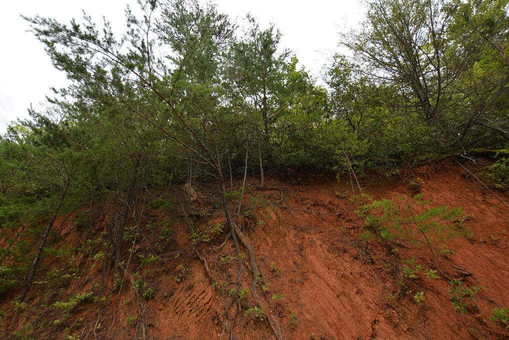 Lot 63 Pinnacle Vista Road Sevierville, TN 37876 - Photo 1 of 10 A