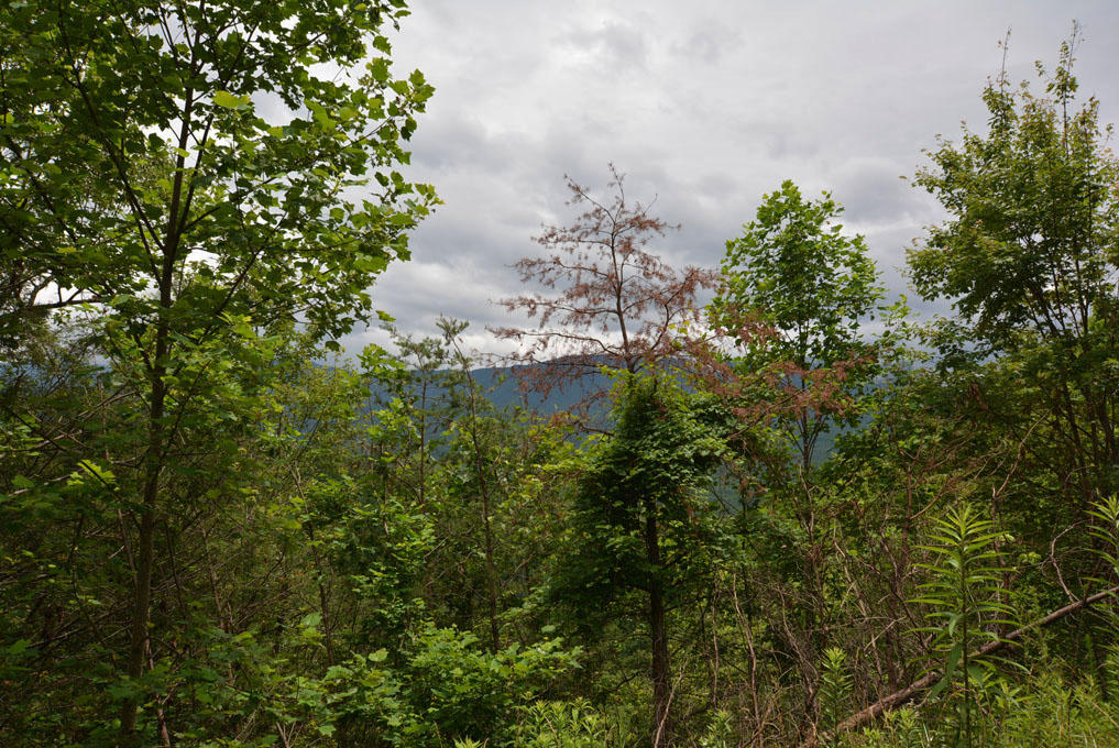 Lot 63 Pinnacle Vista Road Sevierville, TN 37876 - Photo 2 of 10 B