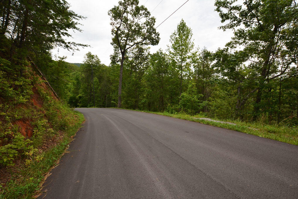 Lot 63 Pinnacle Vista Road Sevierville, TN 37876 - Photo 4 of 10 D