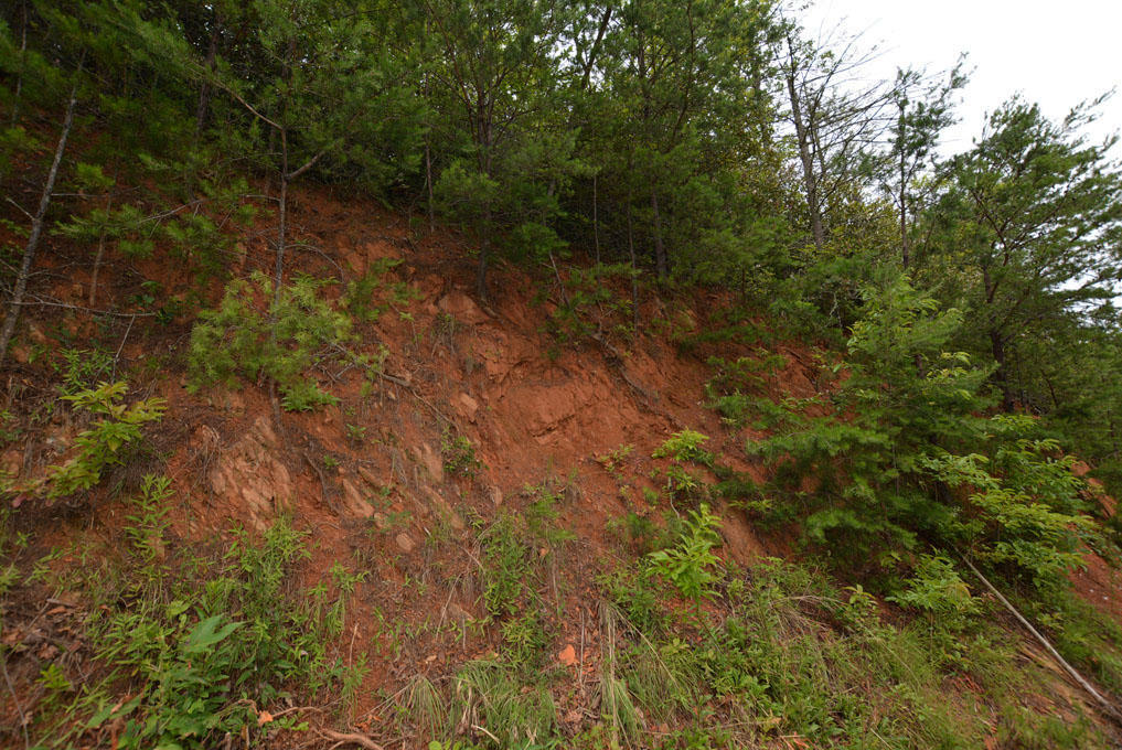 Lot 63 Pinnacle Vista Road Sevierville, TN 37876 - Photo 5 of 10 E