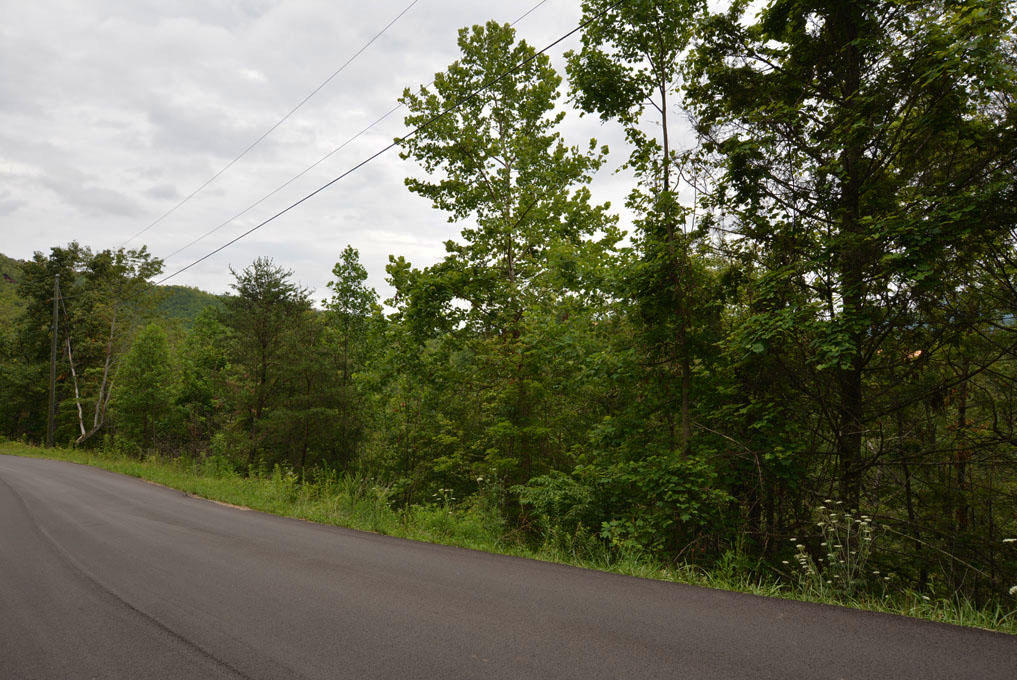 Lot 63 Pinnacle Vista Road Sevierville, TN 37876 - Photo 6 of 10 F