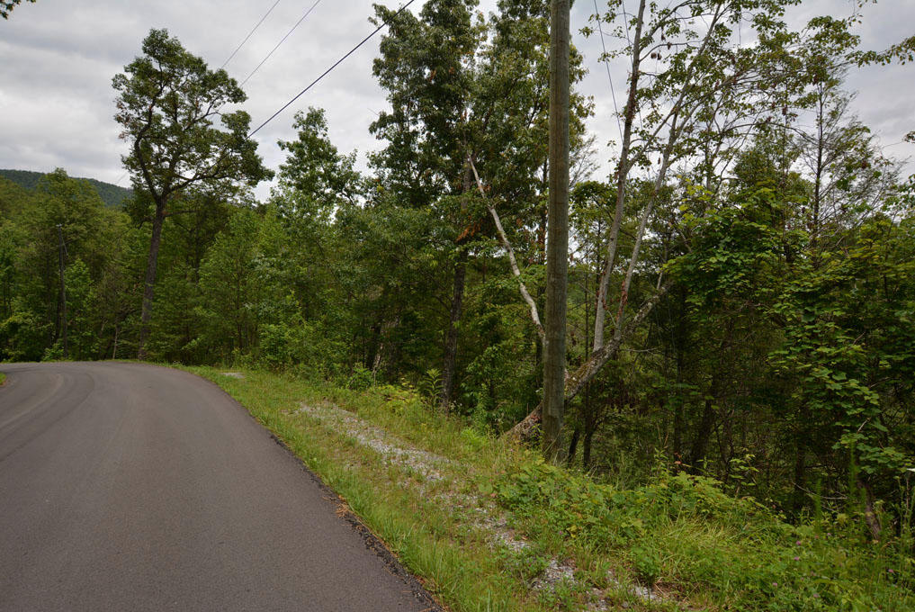 Lot 63 Pinnacle Vista Road Sevierville, TN 37876 - Photo 8 of 10 H