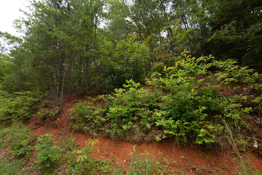 Lot 63 Pinnacle Vista Road Sevierville, TN 37876 - Photo 9 of 10 I