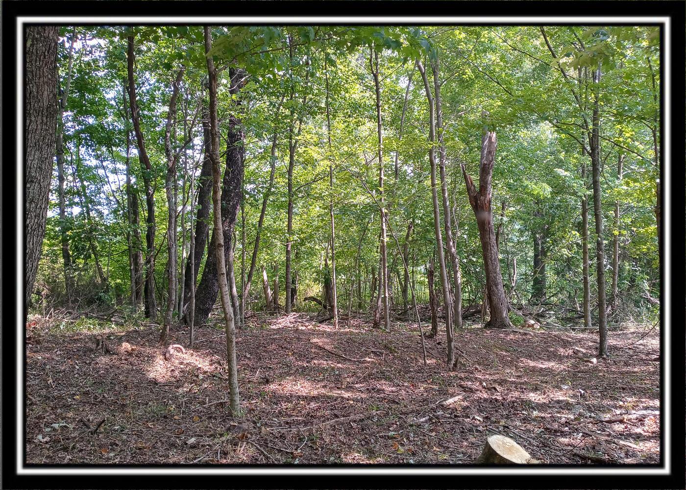 0 Hampton Hollow Road Langsville, OH 45741 - Photo 29 of 58 Hampton4-12