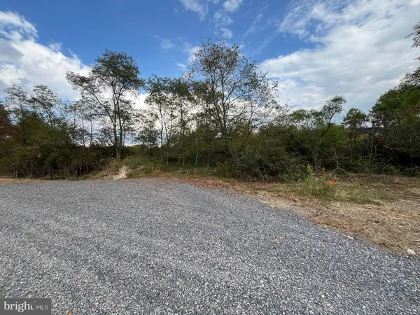 a view of a forest with trees in the background